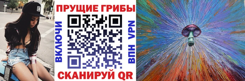 Псилоцибиновые грибы Magic Shrooms  Багратионовск 